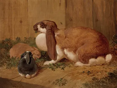A Lop-Eared Doe Rabbit and her Young by Бенджамин Херринг, 1865 — digital art print download