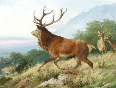 Red Deer in the Rutting Season by Карл Фридрих Дейкер, 1888 — digital art print download