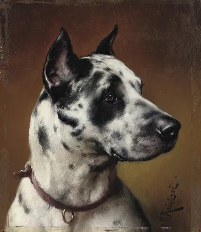 A Great Dane by Carl Reichert — digital art print download
