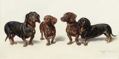 Four Dachshunds by Carl Reichert, 1900 — digital art print download