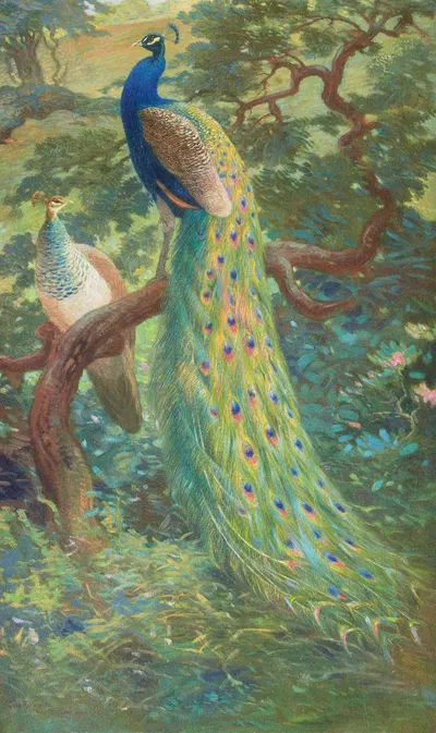 Indian Peafowl by Charles Robert Knight, 1918-1922 — digital art print download