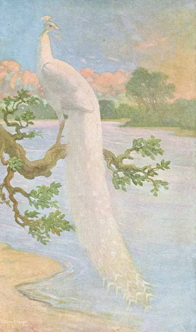 White Peacock by Charles Robert Knight, 1918-1922 — digital art print download