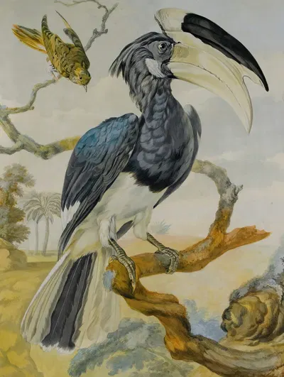 A Hornbill And Another Bird On A Branch by Circle of Aert Schouman — digital art print download