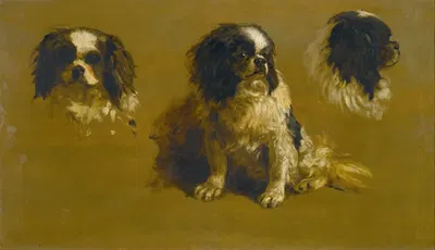Study Of A King Charles Spaniel by Circle of Maud Earl — digital art print download