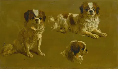 Study Of A King Charles Spaniel by Circle of Maud Earl — digital art print download