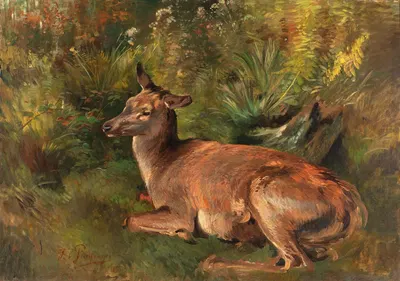 Resting Hind by Франц Ксавер фон Паузингер — digital art print download