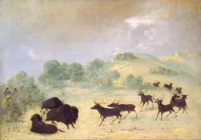 Elk and Buffalo Making Acquaintance, Texas by George Catlin, 1846-1848 — digital art print download