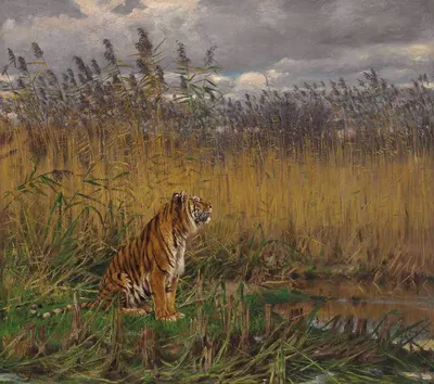 A Tiger in a Landscape by Геза Вастаг — digital art print download
