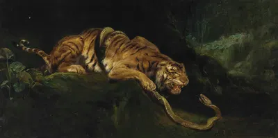 A Tiger Struggling With A Snake by Джулио Аристида Сарторио — digital art print download