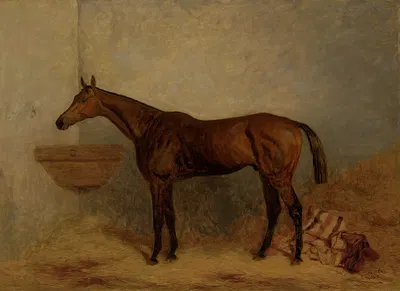 Isonomy, a bay colt in a stall by Harry Hall, 1878 — digital art print download