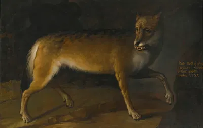 A Wolf In A Landscape by Heinrich Lihl, 1735 — digital art print download