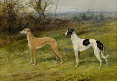 Fellow From Wales And Silvery Sand by Heywood Hardy — digital art print download