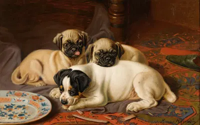 Dinner, Two Pugs And A Terrier by Horatio Henry Couldery — digital art print download
