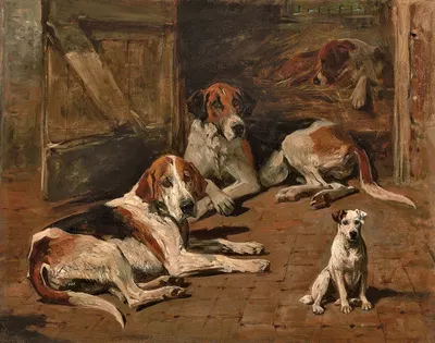 Hounds and a Terrier in a Stable by Джон Эмс — digital art print download