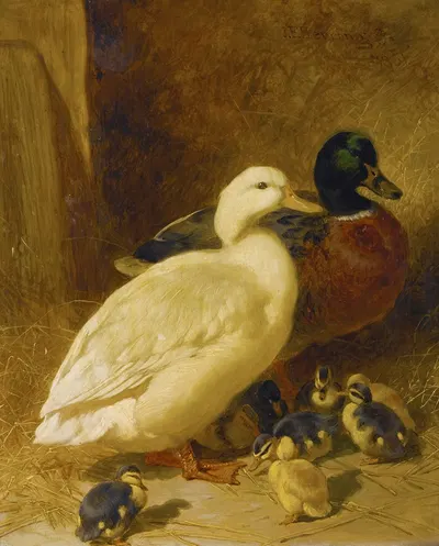Ducks And Ducklings by Джон Фредерик Херринг-старший, 1851 — digital art print download