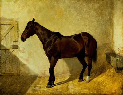 Horse by Джон Фредерик Херринг-старший, 1842 — digital art print download