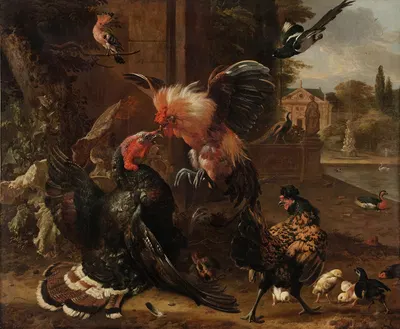 A Rooster and Turkey Fighting by Мельхиор д'Ондекайтер, c. 1680 — digital art print download