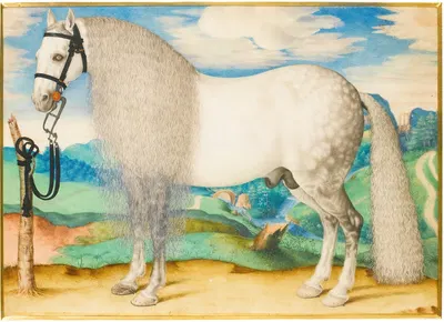 A Dappled Grey Stallion Tethered In A Landscape by Prague School — digital art print download