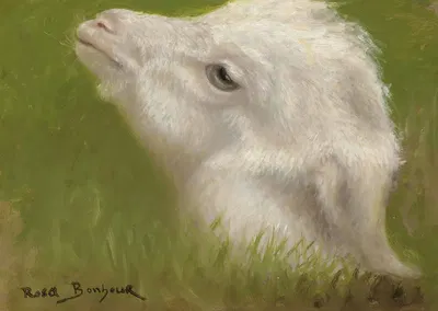 Head Of A Lamb by Роза Бонёр — digital art print download