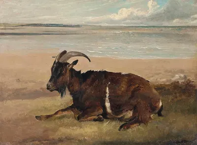 A Goat By The Shore, Margate by Томас Сидни Купер, 1843 — digital art print download