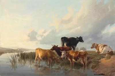 Cattle By A River by Томас Сидни Купер, 1872 — digital art print download