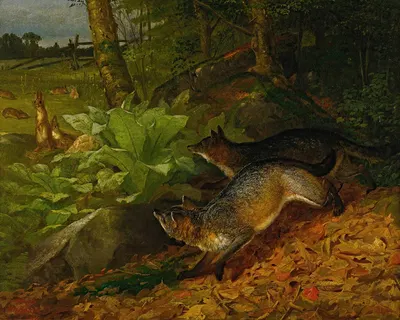 Foxes And Rabbits by Уильям Холбрук Бирд, 1874 — digital art print download