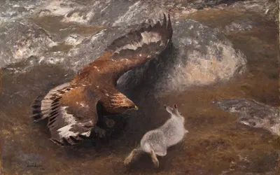 Eagle and Hare by Бруно Лильефорс, 1904 — digital art print download