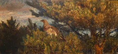Female Capercaillie by Бруно Лильефорс, 1893 — digital art print download