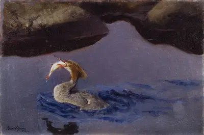 Female Merganser by Бруно Лильефорс, 1901 — digital art print download