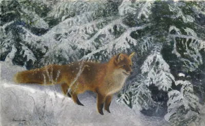 Fox in Winter by Бруно Лильефорс, 1904 — digital art print download