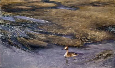 Grebe by Бруно Лильефорс, 1907 — digital art print download