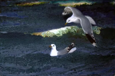 Gulls by Бруно Лильефорс, 1901 — digital art print download