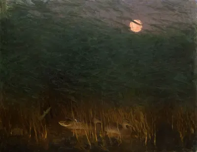 Nocturnal Mood with Wild Ducks by Бруно Лильефорс, 1901 — digital art print download