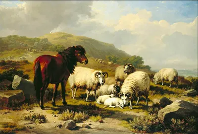Landscape with Sheep by Южен Жозеф Вербокховен — digital art print download