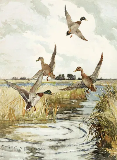 Rising Mallard by Frank Weston Benson, 1922-1926 — digital art print download