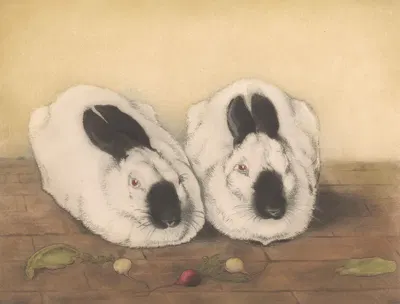 Twee ruskonijnen by Франс Эвербаг, 1887 — digital art print download