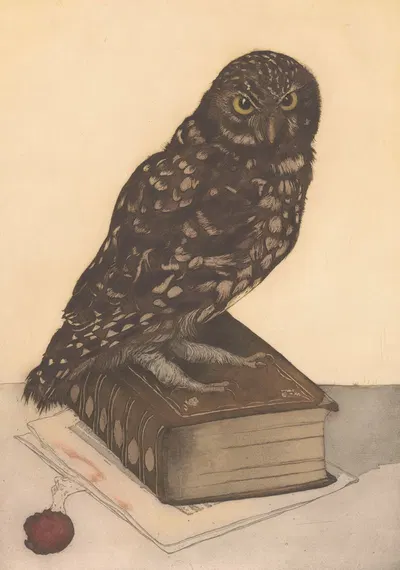 Uil zittend op een boek by Франс Эвербаг, 1887 — digital art print download