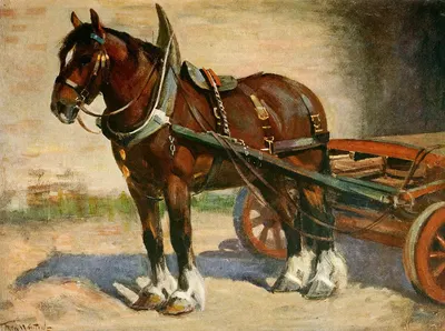 A Typical Clydesdale by Frederic Whiting — digital art print download