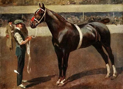 Mr. Butler's Hackney Stallion, Kirkburn Toreador by Frederic Whiting — digital art print download