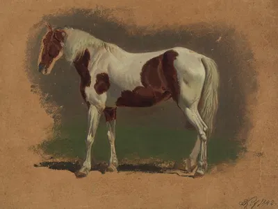Pferdestudie by Иоганн Адам Кляйн, 1842 — digital art print download