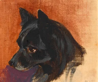Kopf eines kleinen schwarzen Hundes by Иоганн Маттиас Ранфтль — digital art print download