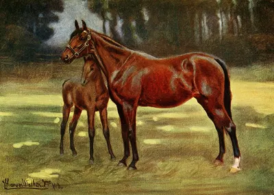 Perdita With Persimmon by John Hanson Walker Jr. — digital art print download