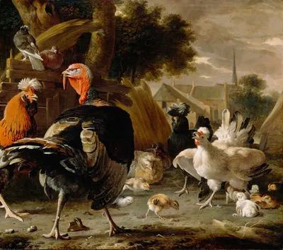 Poultry Yard by Мельхиор д'Ондекайтер — digital art print download