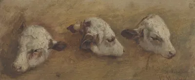 Study of Calfheads by Андерс Аскевольд, 1858 — digital art print download