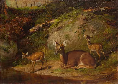 Doe and Two Fawns by Артур Фицвильям Тейт, 1882 — digital art print download