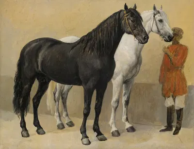 Two Horses Of Prince Anatole Demidoff (1813-1870) by Денис Огюст Мари Раффе, 1813-1870 — digital art print download