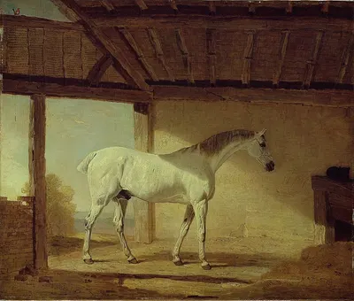 The Earl of Coventry’s Horse by Benjamin Marshall, 1805 — digital art print download