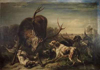 Hirsch, von Hunden gestellt by Benno Raffael Adam, 1858 — digital art print download
