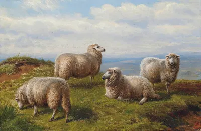 Sheep on the hill by Шарль Джонс, 1883 — digital art print download