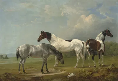 Two Skewbalds, a grey and spaniel in an extensive landscape, a country house beyond by Edmund Bristow, 1846 — digital art…